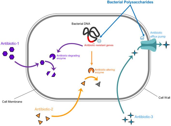 https://cdn.ncbi.nlm.nih.gov/pmc/blobs/2ddb/9671505/322cf28daab4/fnut-09-1031935-g0004.jpg