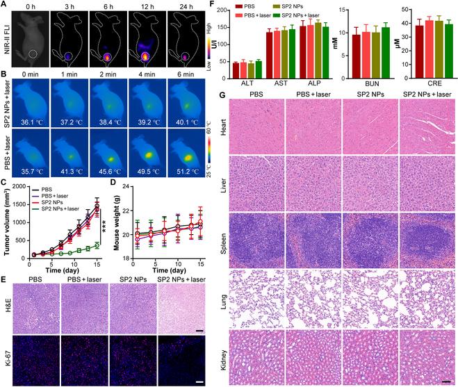https://cdn.ncbi.nlm.nih.gov/pmc/blobs/2ddc/10370618/d01bcef37f05/research.0194.fig.006.jpg
