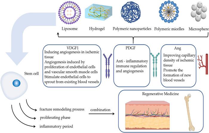 https://cdn.ncbi.nlm.nih.gov/pmc/blobs/2ddd/10276889/c35c94ef44b4/MCO2-4-e291-g001.jpg