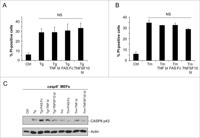 https://cdn.ncbi.nlm.nih.gov/pmc/blobs/2dde/4502706/6a9a9fec4f49/kaup-10-11-981790-g004.jpg