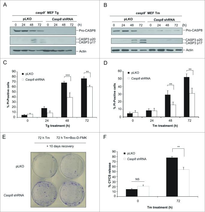https://cdn.ncbi.nlm.nih.gov/pmc/blobs/2dde/4502706/cd563482874a/kaup-10-11-981790-g003.jpg