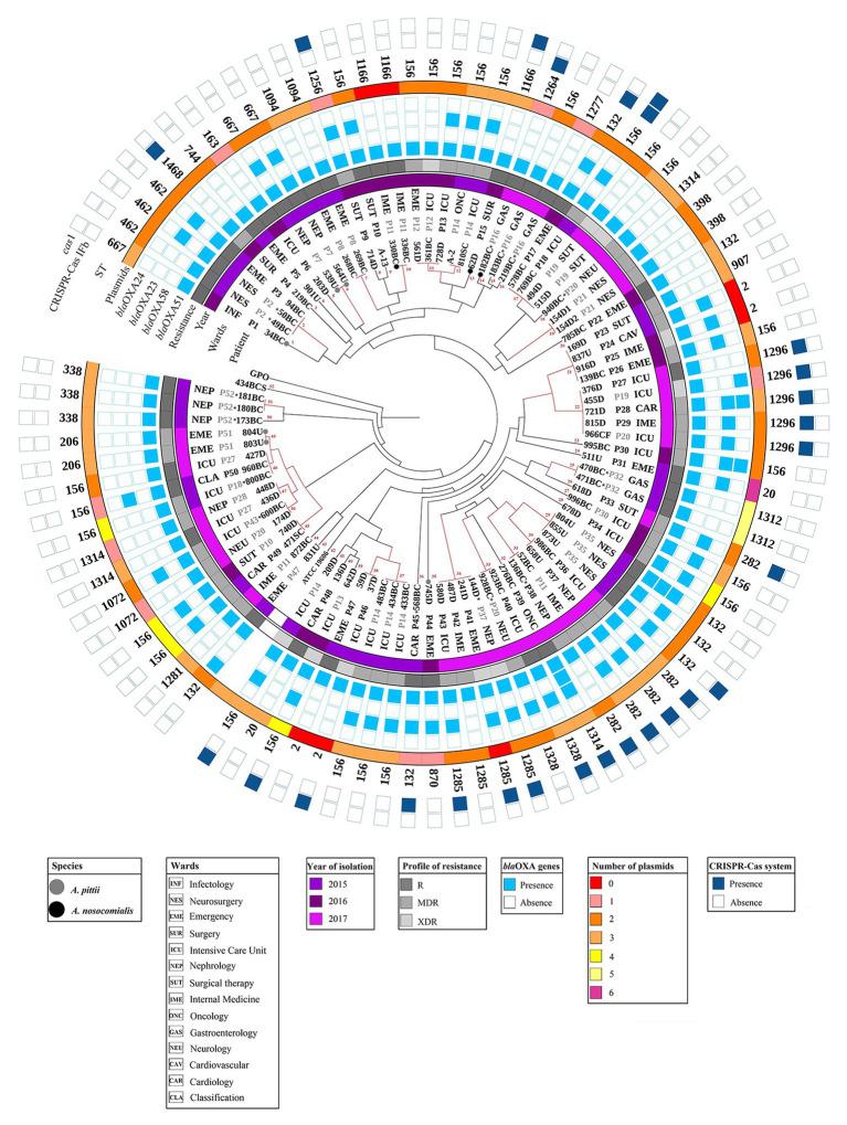 https://cdn.ncbi.nlm.nih.gov/pmc/blobs/2dde/7593844/5f1b477ca725/fmicb-11-576673-g003.jpg