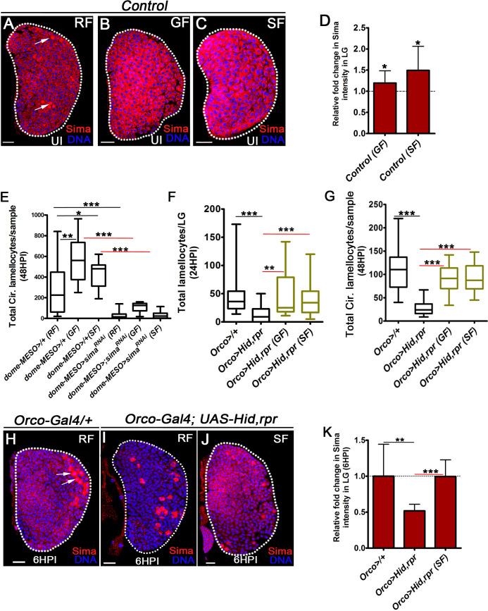 https://cdn.ncbi.nlm.nih.gov/pmc/blobs/2ddf/7808736/5ff3c2984609/elife-60376-fig4-figsupp1.jpg