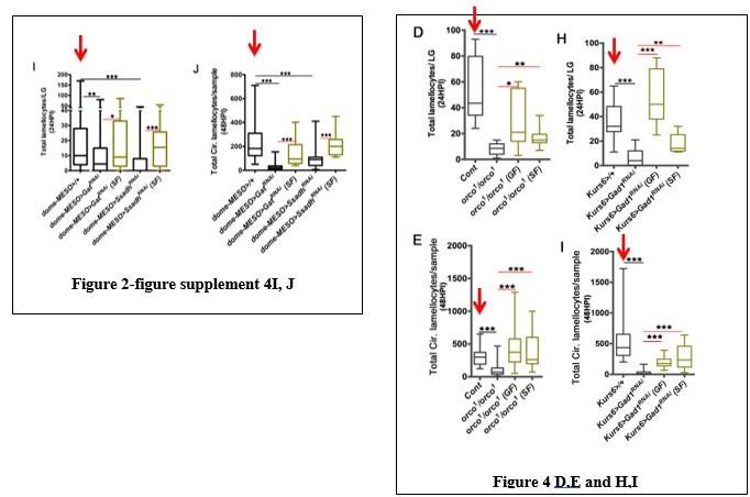 https://cdn.ncbi.nlm.nih.gov/pmc/blobs/2ddf/7808736/88470e9e50ea/elife-60376-resp-fig3.jpg