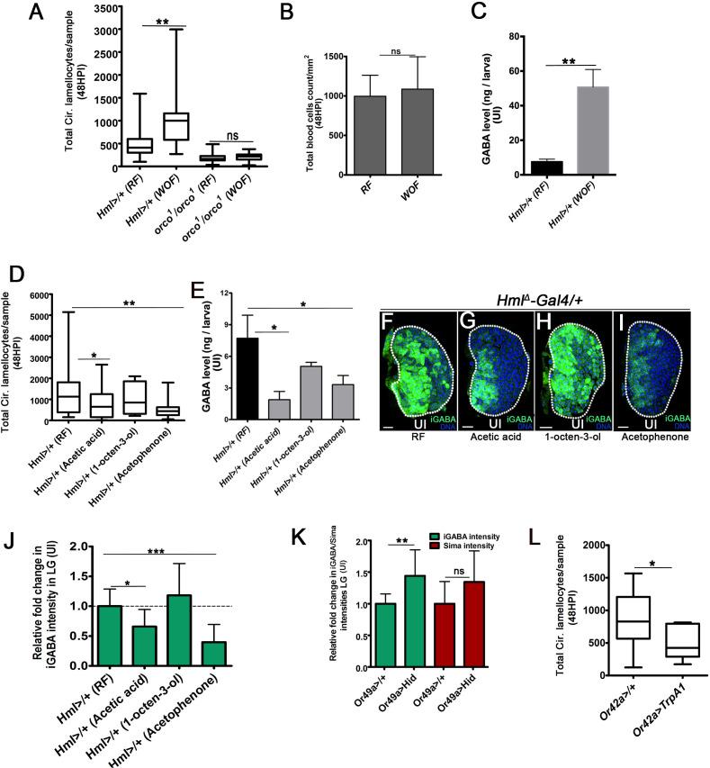 https://cdn.ncbi.nlm.nih.gov/pmc/blobs/2ddf/7808736/a968a2f595d6/elife-60376-fig5-figsupp1.jpg