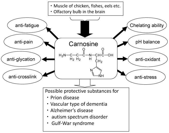 https://cdn.ncbi.nlm.nih.gov/pmc/blobs/2de0/5852723/99dd25657231/nutrients-10-00147-g002.jpg
