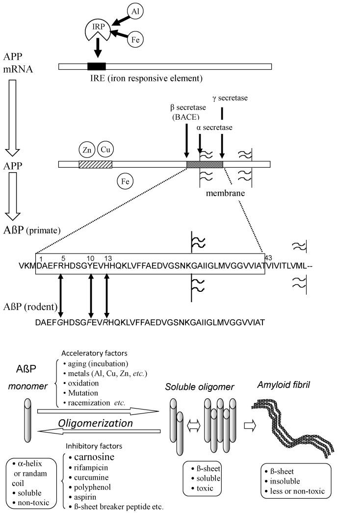 https://cdn.ncbi.nlm.nih.gov/pmc/blobs/2de0/5852723/be5028e9da39/nutrients-10-00147-g004.jpg