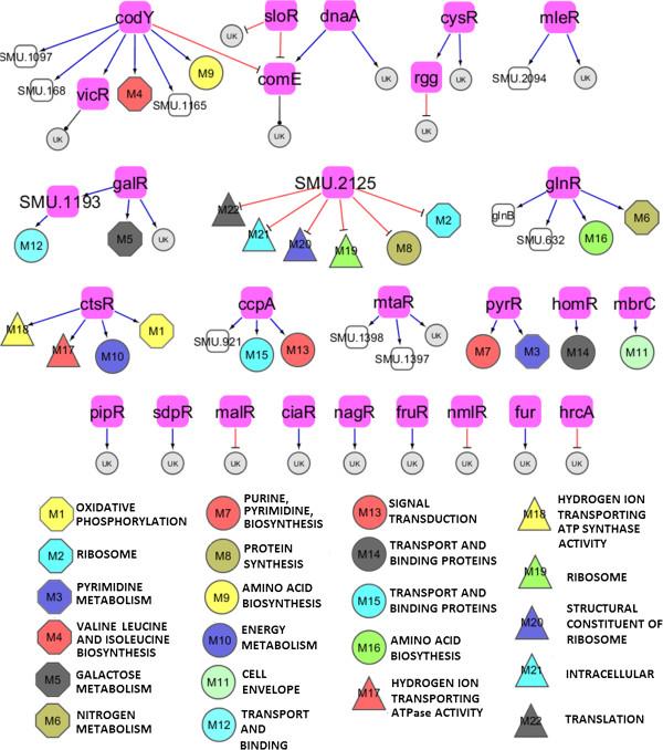 https://cdn.ncbi.nlm.nih.gov/pmc/blobs/2de4/4048456/0cd38519b9a1/12864_2013_6097_Fig3_HTML.jpg