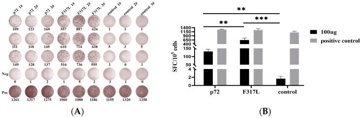 https://cdn.ncbi.nlm.nih.gov/pmc/blobs/2de6/11083013/ca2627862cf6/animals-14-01331-g002.jpg