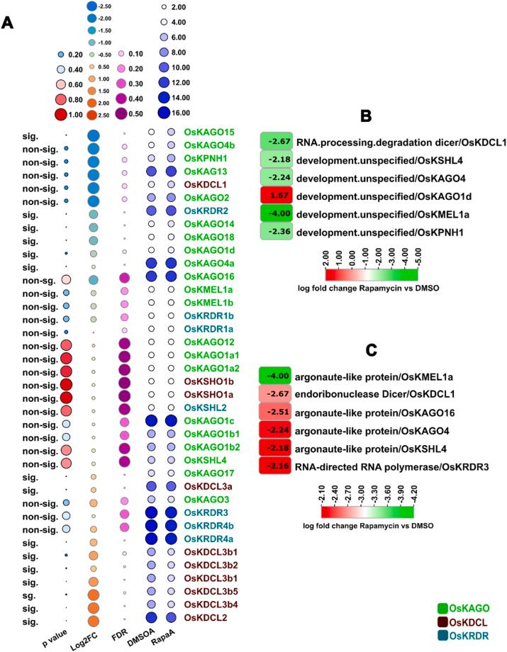 https://cdn.ncbi.nlm.nih.gov/pmc/blobs/2de6/11609679/9d64fa361c16/gr10.jpg