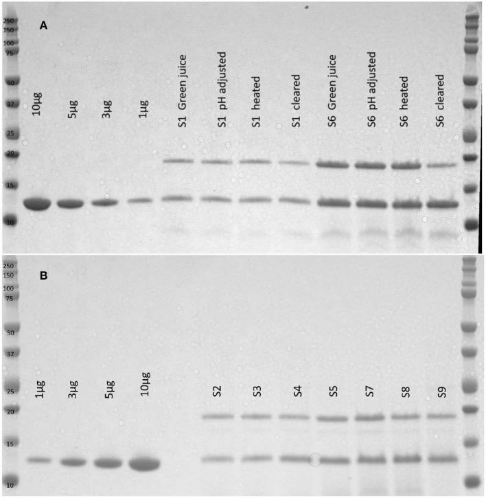 https://cdn.ncbi.nlm.nih.gov/pmc/blobs/2de8/7093594/8154ba665aea/fbioe-08-00199-g0002.jpg