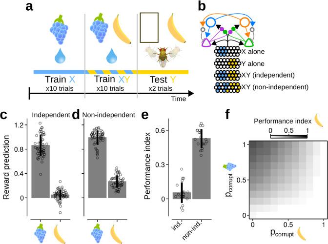 https://cdn.ncbi.nlm.nih.gov/pmc/blobs/2de8/8105414/899bcaf89c82/41467_2021_22592_Fig6_HTML.jpg