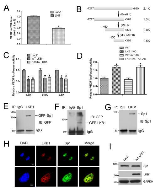 https://cdn.ncbi.nlm.nih.gov/pmc/blobs/2de9/5532072/76725b50ed9d/nihms-851435-f0006.jpg