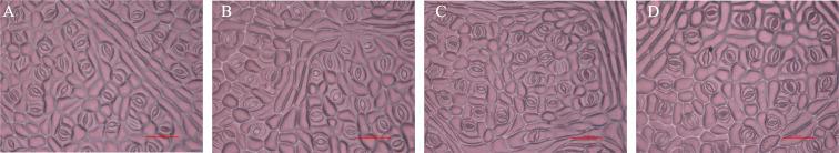 https://cdn.ncbi.nlm.nih.gov/pmc/blobs/2dea/12422265/269403a92e6d/peerj-13-19934-g003.jpg