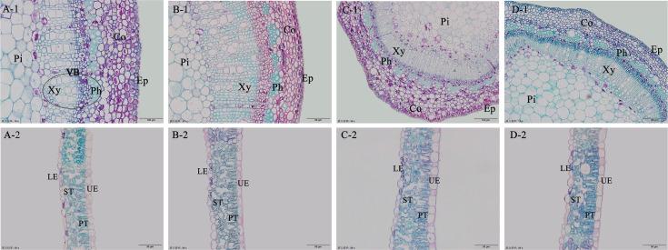https://cdn.ncbi.nlm.nih.gov/pmc/blobs/2dea/12422265/d713d62c3022/peerj-13-19934-g004.jpg