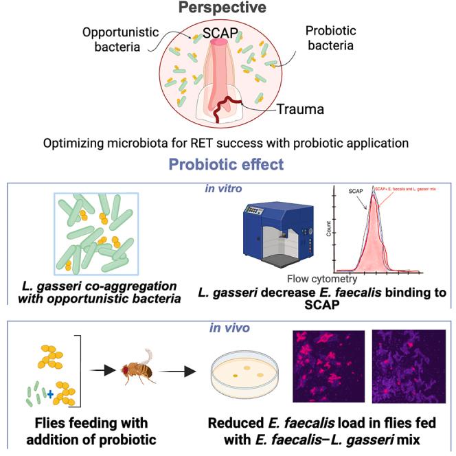 https://cdn.ncbi.nlm.nih.gov/pmc/blobs/2dec/12245439/aaf86fb9da6e/fx1.jpg
