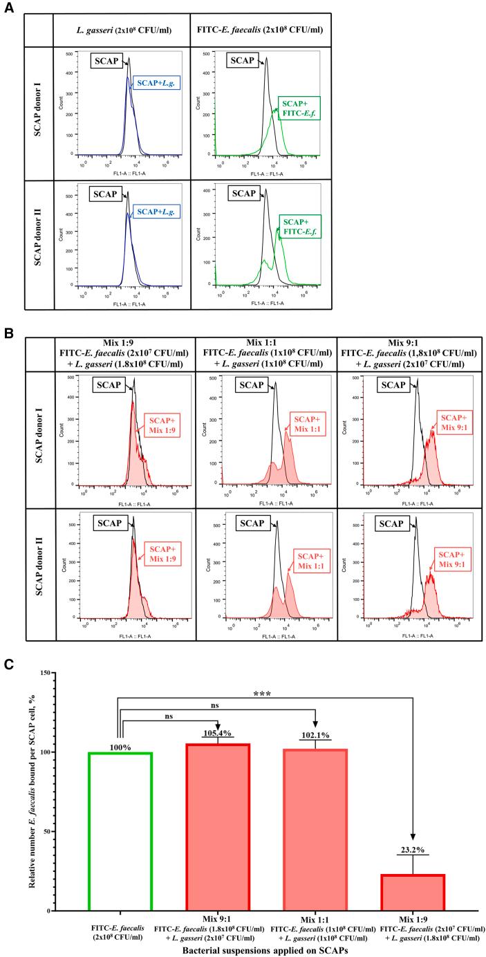 https://cdn.ncbi.nlm.nih.gov/pmc/blobs/2dec/12245439/fe0578e3d669/gr2.jpg
