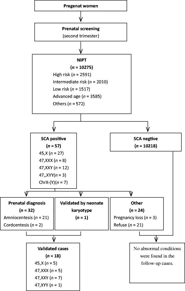https://cdn.ncbi.nlm.nih.gov/pmc/blobs/2dec/5536640/552e1f07b996/10.1177_0300060517695008-fig1.jpg