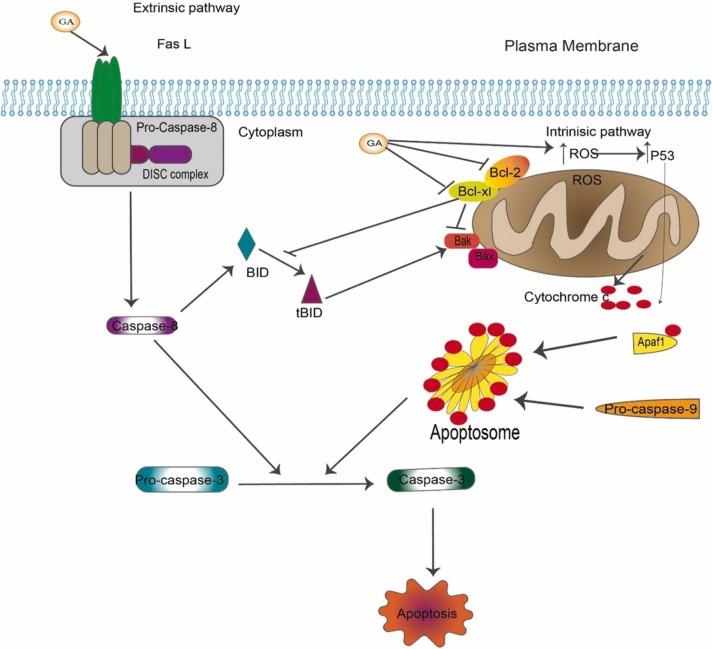 https://cdn.ncbi.nlm.nih.gov/pmc/blobs/2ded/8857760/014e4cfe161f/gr3_lrg.jpg