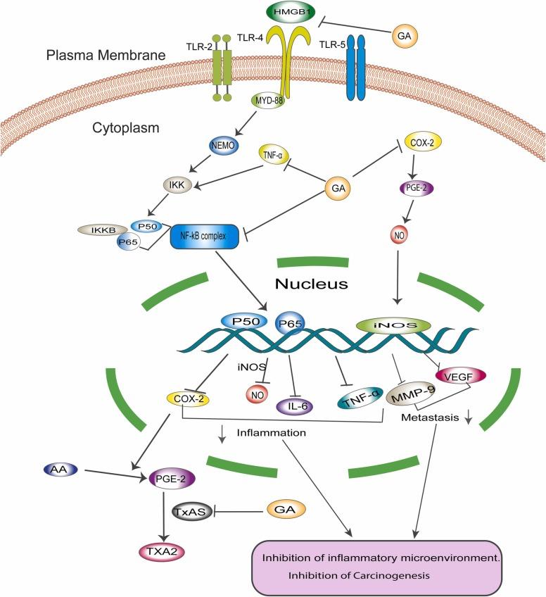 https://cdn.ncbi.nlm.nih.gov/pmc/blobs/2ded/8857760/98a44d381d67/gr2_lrg.jpg