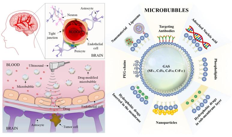 https://cdn.ncbi.nlm.nih.gov/pmc/blobs/2dee/9959315/4237e1dab1a3/pharmaceutics-15-00698-sch001.jpg
