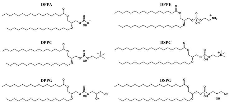 https://cdn.ncbi.nlm.nih.gov/pmc/blobs/2dee/9959315/82027a826201/pharmaceutics-15-00698-g001.jpg