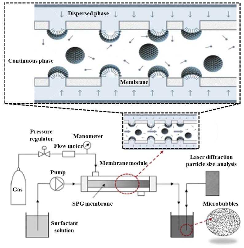 https://cdn.ncbi.nlm.nih.gov/pmc/blobs/2dee/9959315/fb7acfd6771c/pharmaceutics-15-00698-sch004.jpg