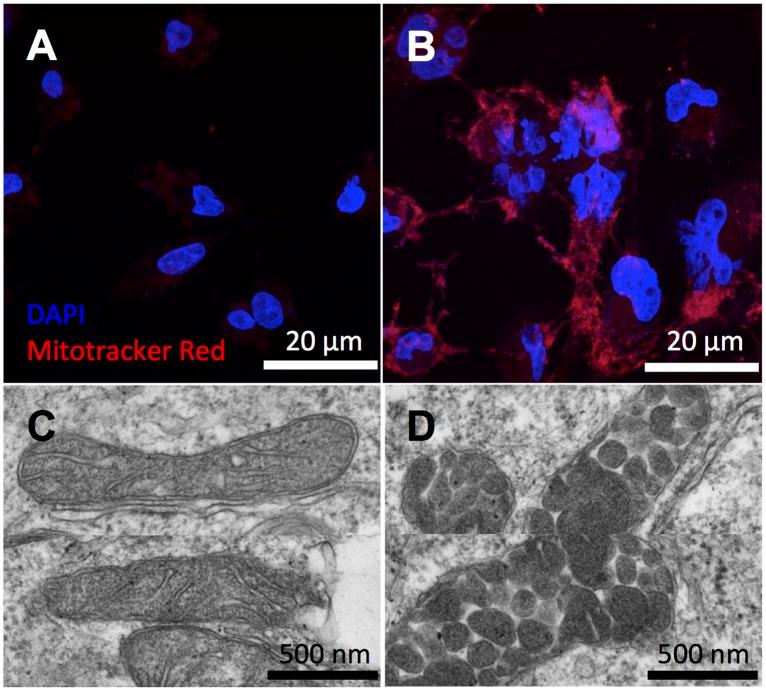 https://cdn.ncbi.nlm.nih.gov/pmc/blobs/2df0/5892939/1b0a79708729/pbio.2003782.g005.jpg