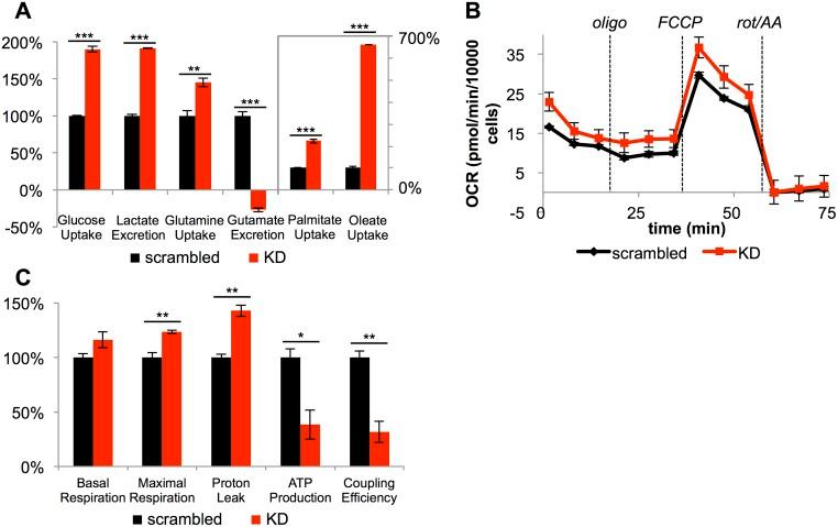 https://cdn.ncbi.nlm.nih.gov/pmc/blobs/2df0/5892939/b3603c43a5f7/pbio.2003782.g004.jpg