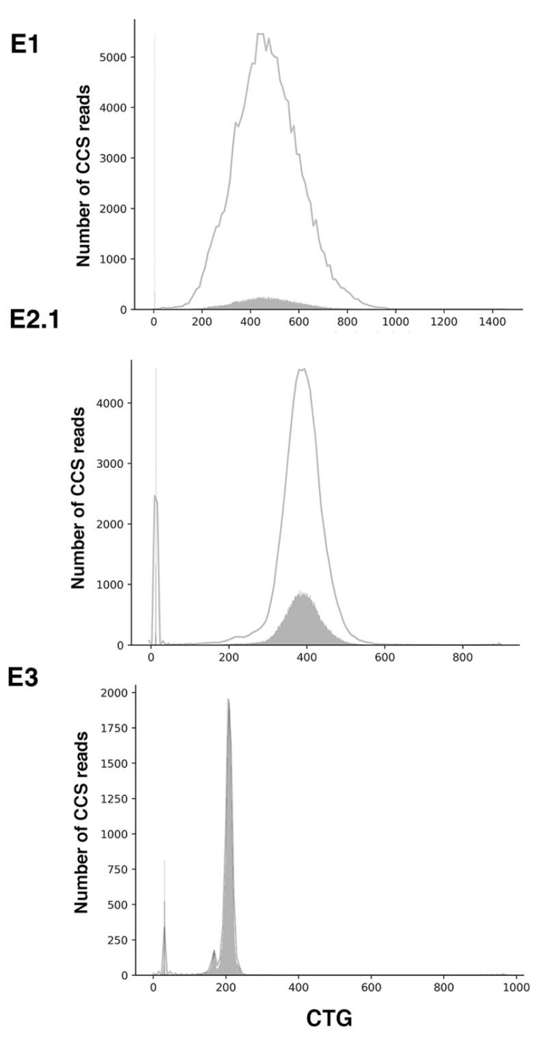 https://cdn.ncbi.nlm.nih.gov/pmc/blobs/2df0/7962047/1e26002ddb63/ijms-22-02616-g005.jpg