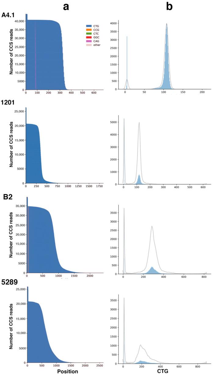 https://cdn.ncbi.nlm.nih.gov/pmc/blobs/2df0/7962047/f55842674d8b/ijms-22-02616-g006.jpg