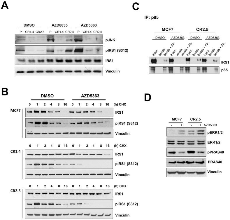 https://cdn.ncbi.nlm.nih.gov/pmc/blobs/2df1/5940413/1be4397a9c1f/oncotarget-09-21444-g002.jpg