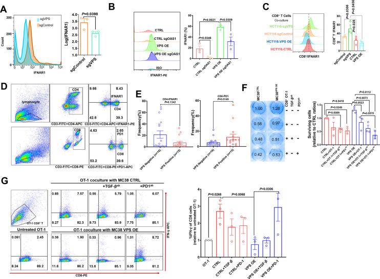 https://cdn.ncbi.nlm.nih.gov/pmc/blobs/2df2/9744440/2e721bd9f98a/elife-79811-fig5.jpg