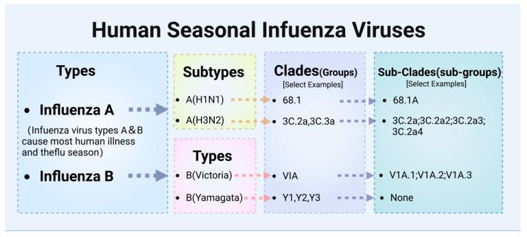 https://cdn.ncbi.nlm.nih.gov/pmc/blobs/2df3/11680418/f74abbb1efa9/vaccines-12-01382-g001.jpg