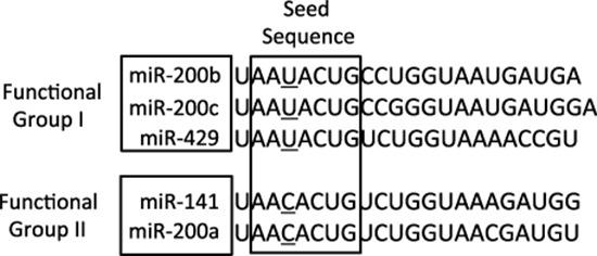 https://cdn.ncbi.nlm.nih.gov/pmc/blobs/2df3/4466628/87eba37b3dca/oncotarget-06-6472-g002.jpg