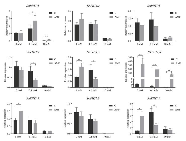 https://cdn.ncbi.nlm.nih.gov/pmc/blobs/2df4/11120713/034cb9f87680/genes-15-00589-g006.jpg