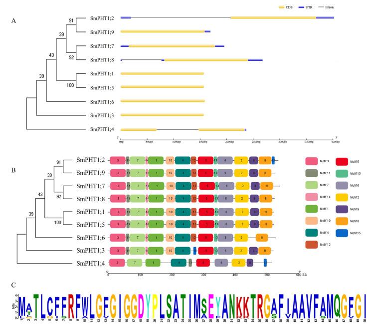 https://cdn.ncbi.nlm.nih.gov/pmc/blobs/2df4/11120713/a5b9ba03ebad/genes-15-00589-g002.jpg