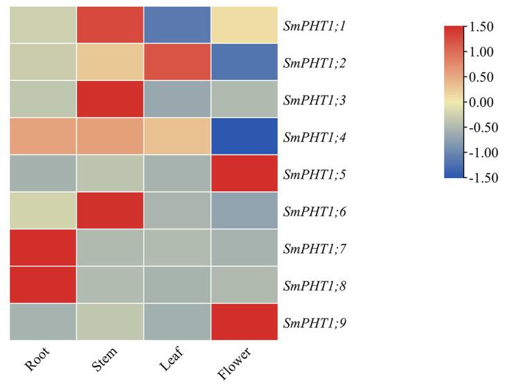https://cdn.ncbi.nlm.nih.gov/pmc/blobs/2df4/11120713/afb8f13dbf57/genes-15-00589-g005.jpg