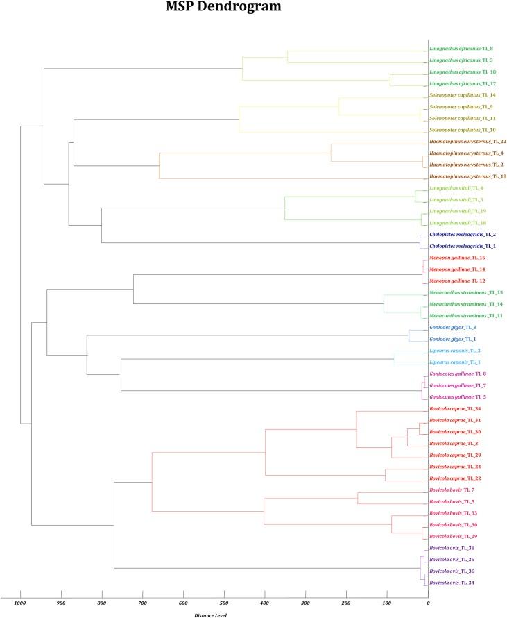 https://cdn.ncbi.nlm.nih.gov/pmc/blobs/2df4/7191974/9bb6bfac412b/parasite-27-28-fig6.jpg