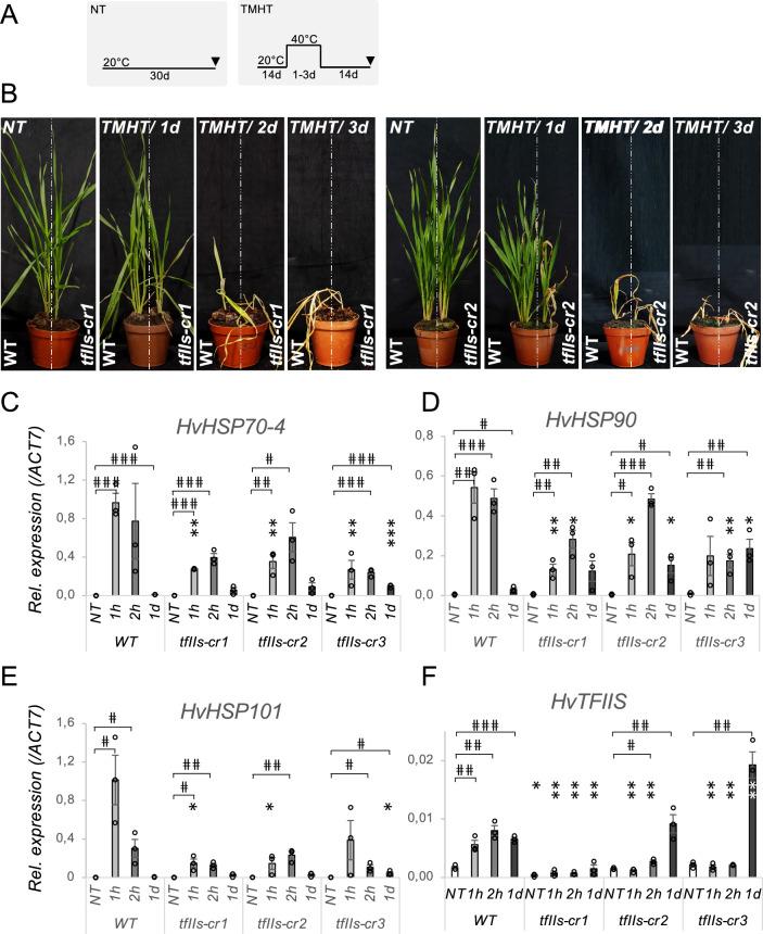 https://cdn.ncbi.nlm.nih.gov/pmc/blobs/2df6/11467006/884a30125ad9/299_2024_3345_Fig2_HTML.jpg