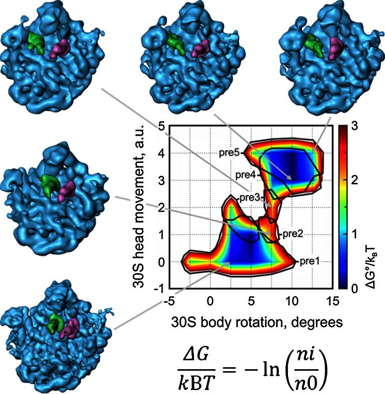 https://cdn.ncbi.nlm.nih.gov/pmc/blobs/2df9/4125826/5ce0b3c8fb97/10969_2014_9179_Fig3_HTML.jpg