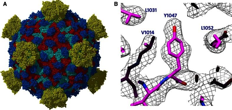 https://cdn.ncbi.nlm.nih.gov/pmc/blobs/2df9/4125826/fc165d646cde/10969_2014_9179_Fig1_HTML.jpg