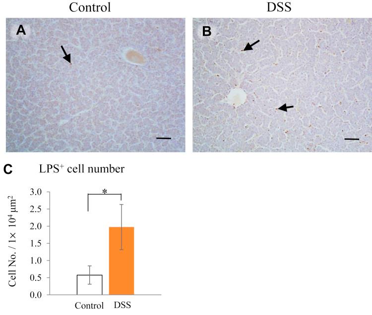 https://cdn.ncbi.nlm.nih.gov/pmc/blobs/2df9/7587789/d17333f5b67e/gr6.jpg