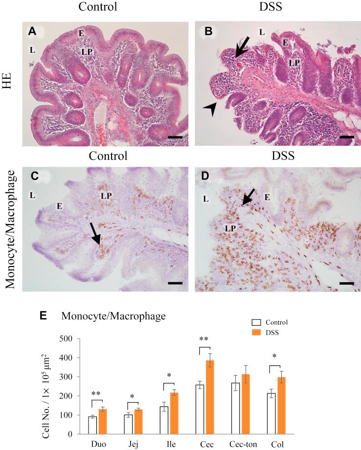 https://cdn.ncbi.nlm.nih.gov/pmc/blobs/2df9/7587789/fbd2ec14fdd8/gr3.jpg