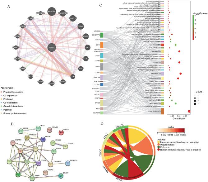 https://cdn.ncbi.nlm.nih.gov/pmc/blobs/2dfa/11166665/0f896f277b47/41598_2024_64354_Fig2_HTML.jpg
