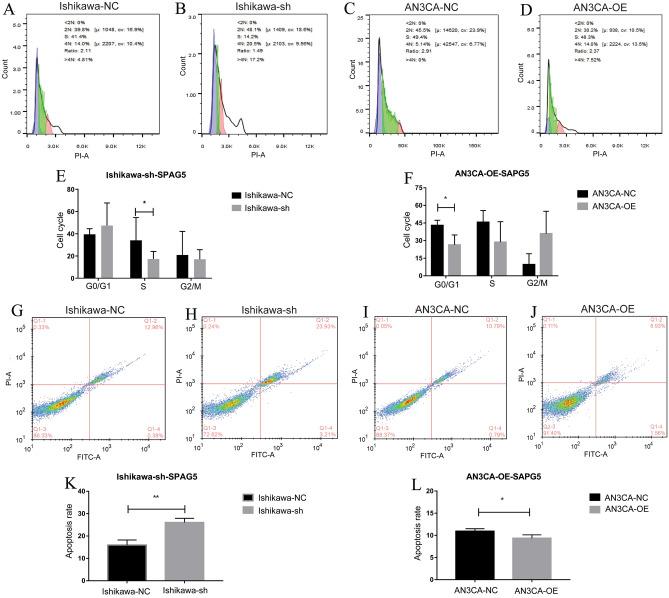 https://cdn.ncbi.nlm.nih.gov/pmc/blobs/2dfa/11166665/172e04a7731a/41598_2024_64354_Fig7_HTML.jpg