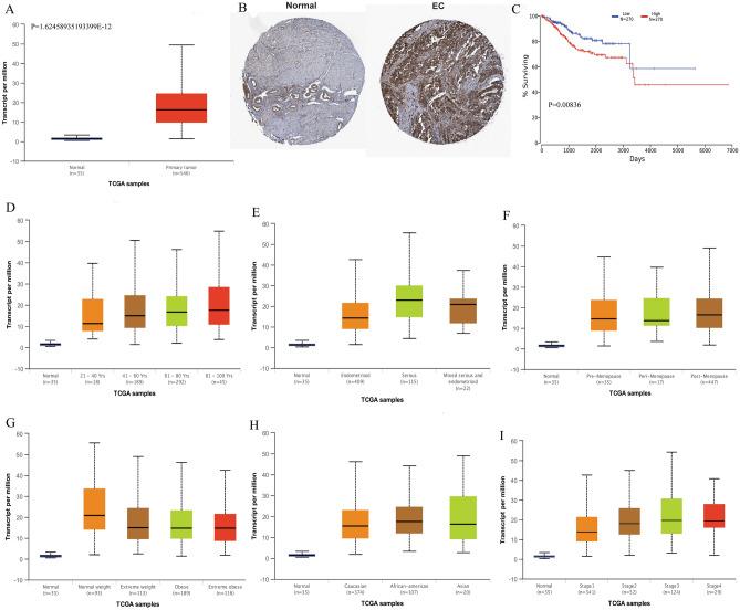 https://cdn.ncbi.nlm.nih.gov/pmc/blobs/2dfa/11166665/257be09e8ae8/41598_2024_64354_Fig1_HTML.jpg