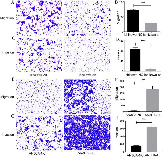 https://cdn.ncbi.nlm.nih.gov/pmc/blobs/2dfa/11166665/9a1a3b34ecd7/41598_2024_64354_Fig6_HTML.jpg