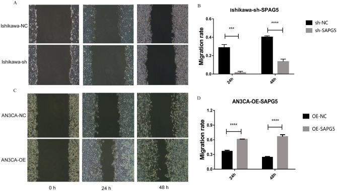 https://cdn.ncbi.nlm.nih.gov/pmc/blobs/2dfa/11166665/9af99a758672/41598_2024_64354_Fig5_HTML.jpg