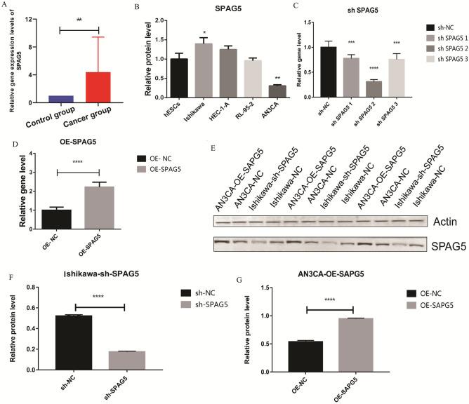 https://cdn.ncbi.nlm.nih.gov/pmc/blobs/2dfa/11166665/a61fc902b96a/41598_2024_64354_Fig4_HTML.jpg